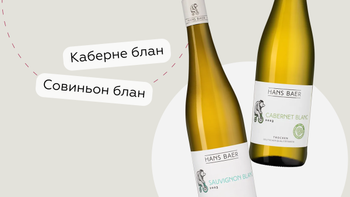 Статья-1200 (15).png