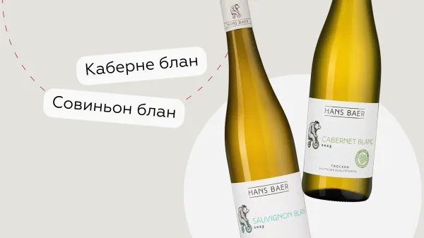 Из Германии на велосипеде: две белых новинки Hans Baer