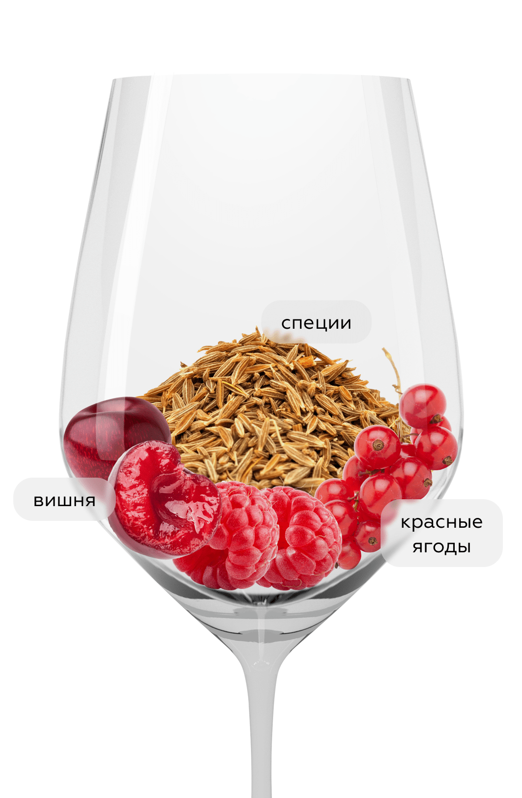 Вино St. Laurent Classic, Hans Igler, 2021, (149981), Австрия, Бургенланд, красное, сухое, 0.75 л, Ст. Лаурент Классик, цена 4290 рублей