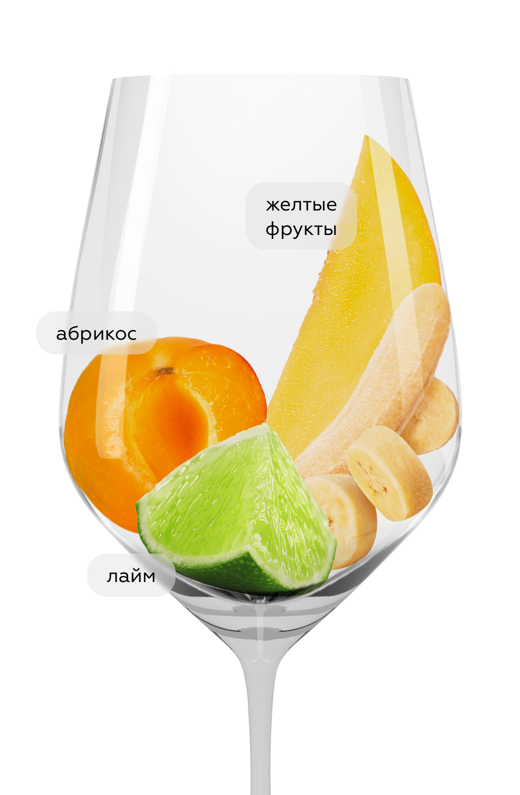 Игристое вино Baron de Rothberg Cremant, Mittelrhein, GCF, 2021, (149610), Германия, Миттельрейн, белое, брют, 0.75 л, Миттельрейн Креман Барон де Ротберг, цена 2443 рублей