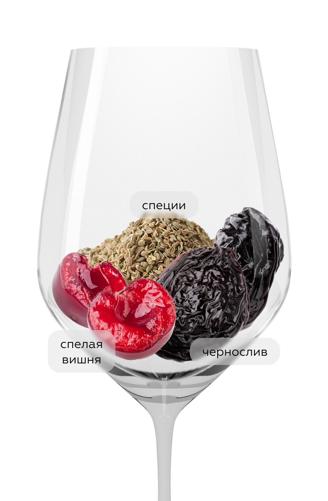 Вино Bruni Montepulciano d'Abruzzo, Caviro, 2022, (147749), Италия, Абруццо, красное, сухое, 0.75 л, Бруни Монтепульчано д'Абруццо, цена 1590 рублей