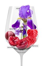 Вино Chianti, (137544), красное сухое, 2021 г., 0.75 л, Кьянти цена 2290 рублей