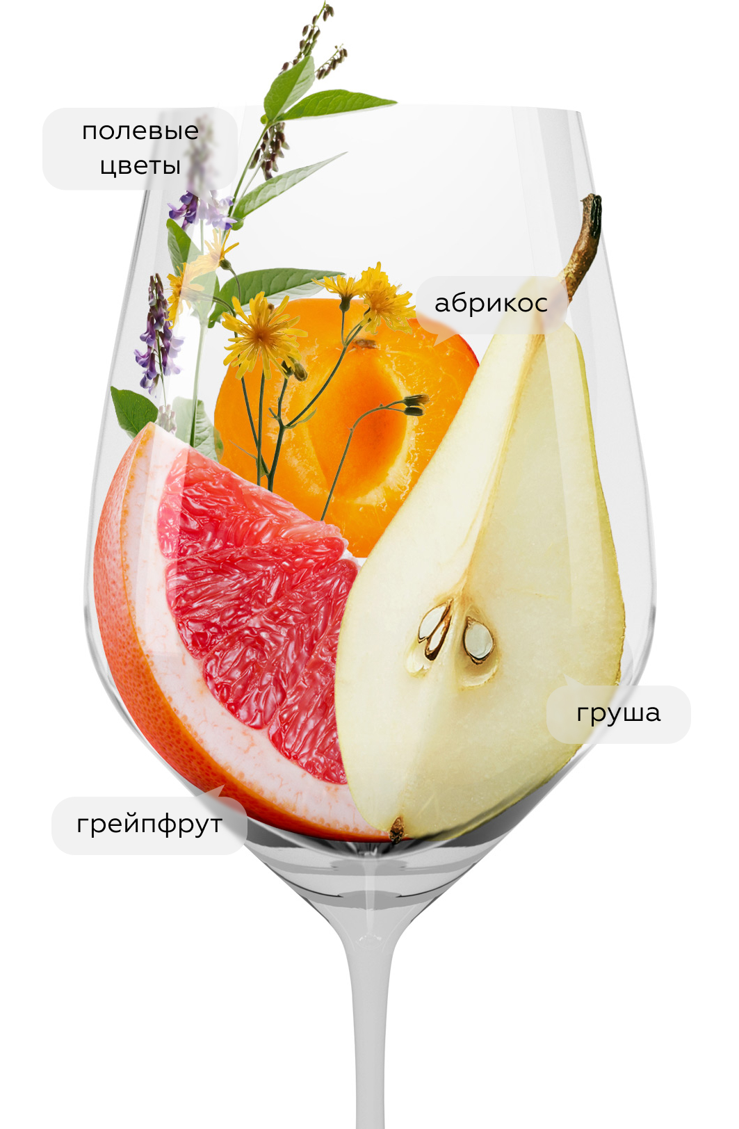 Вино Семисам Шардоне, Шумринка, 2019, (137552), Россия, Кубань, белое, сухое, 0.75 л, Семисам Шардоне, цена 990 рублей