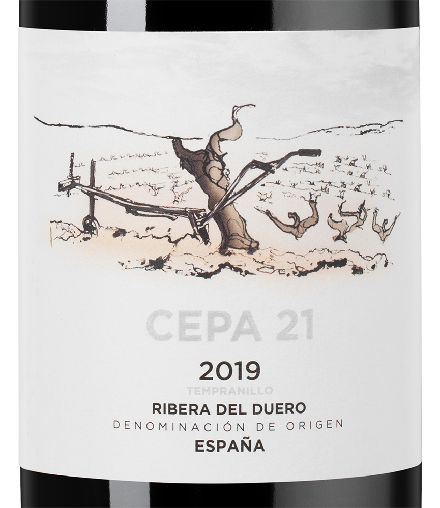 Вино Cepa 21, Bodegas Cepa 21, 2019, (138463), Испания, Кастилия и Леон, красное, сухое, 0.75 л, Рибера дель Дуэро Сепа 21, цена 6690 рублей