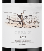 Вино Ribera del Duero DO Cepa 21
