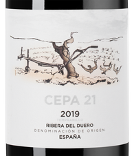 Вино Cepa 21, (138463), красное сухое, 2019 г., 0.75 л, Сепа 21 цена 5490 рублей