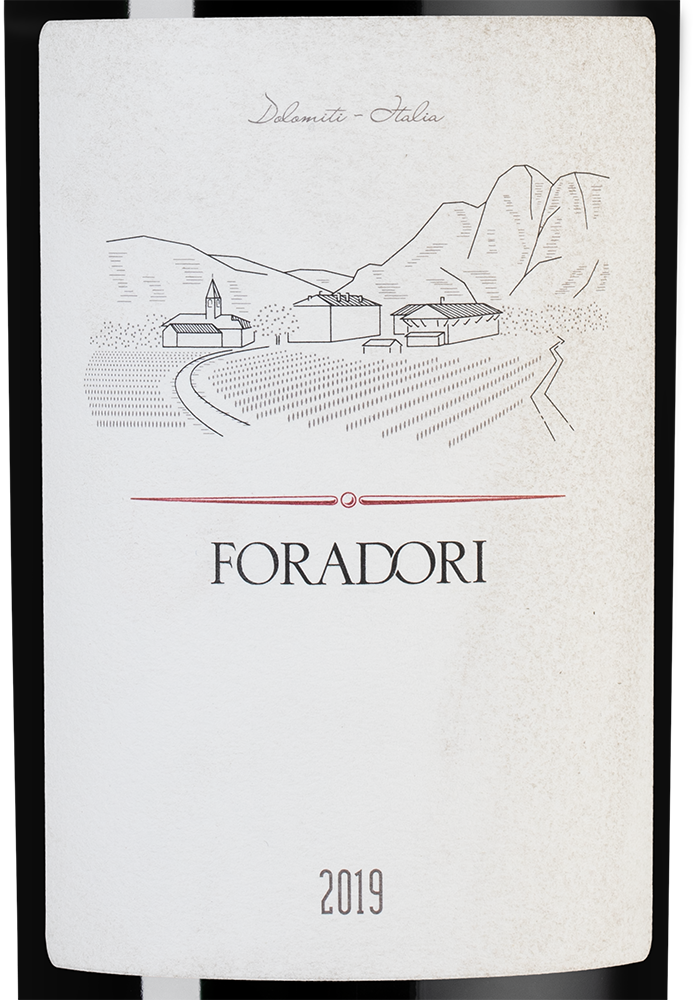 Вино Foradori, 2019, (125817), Италия, Трентино-Альто Адидже, красное, сухое, 0.75 л, Форадори, цена 6490 рублей