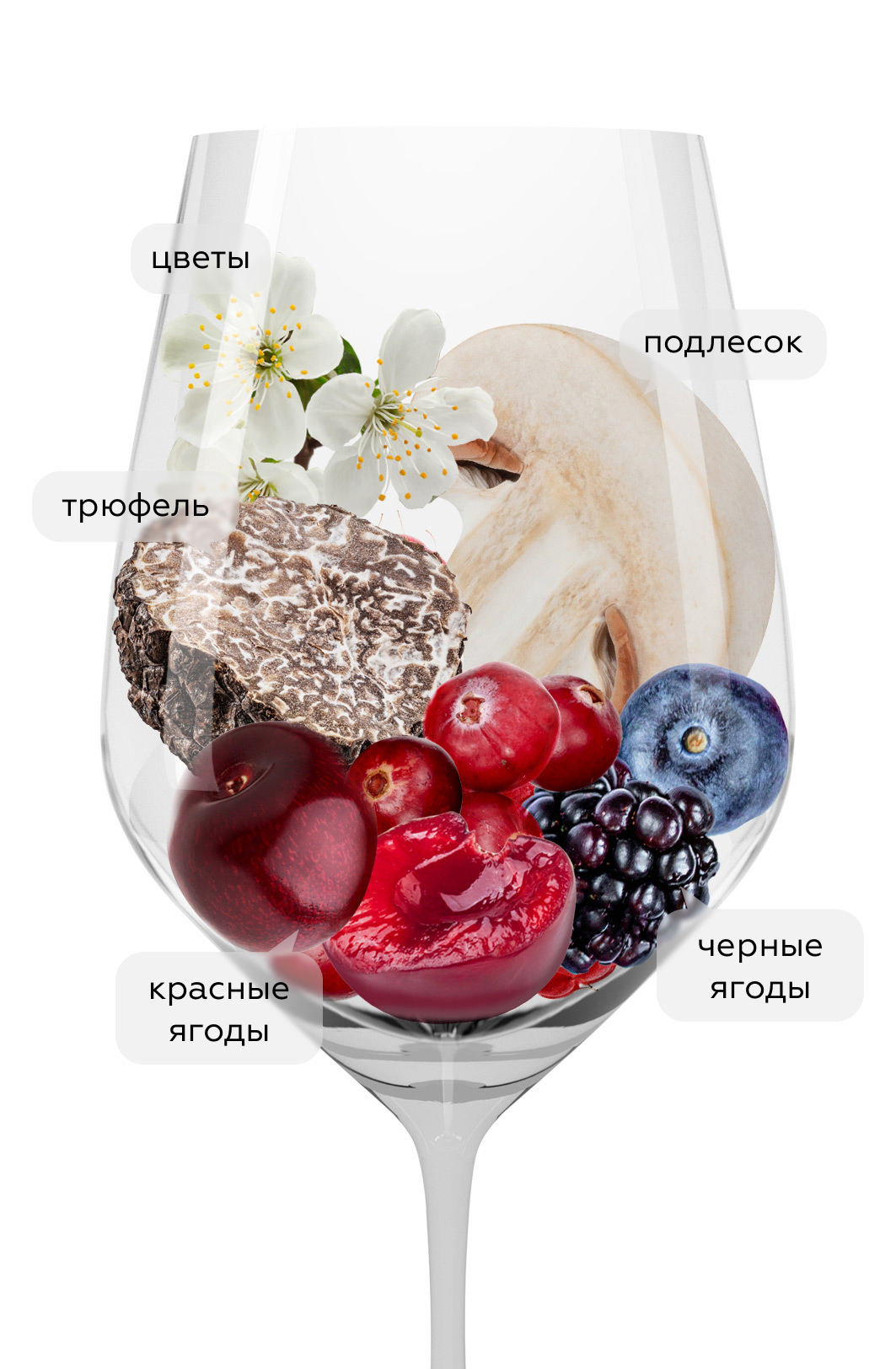 Вино Punta di Adine, Bertinga, 2016, (131574), Италия, Тоскана, красное, сухое, 0.75 л, Пунта ди Адине, цена 21490 рублей