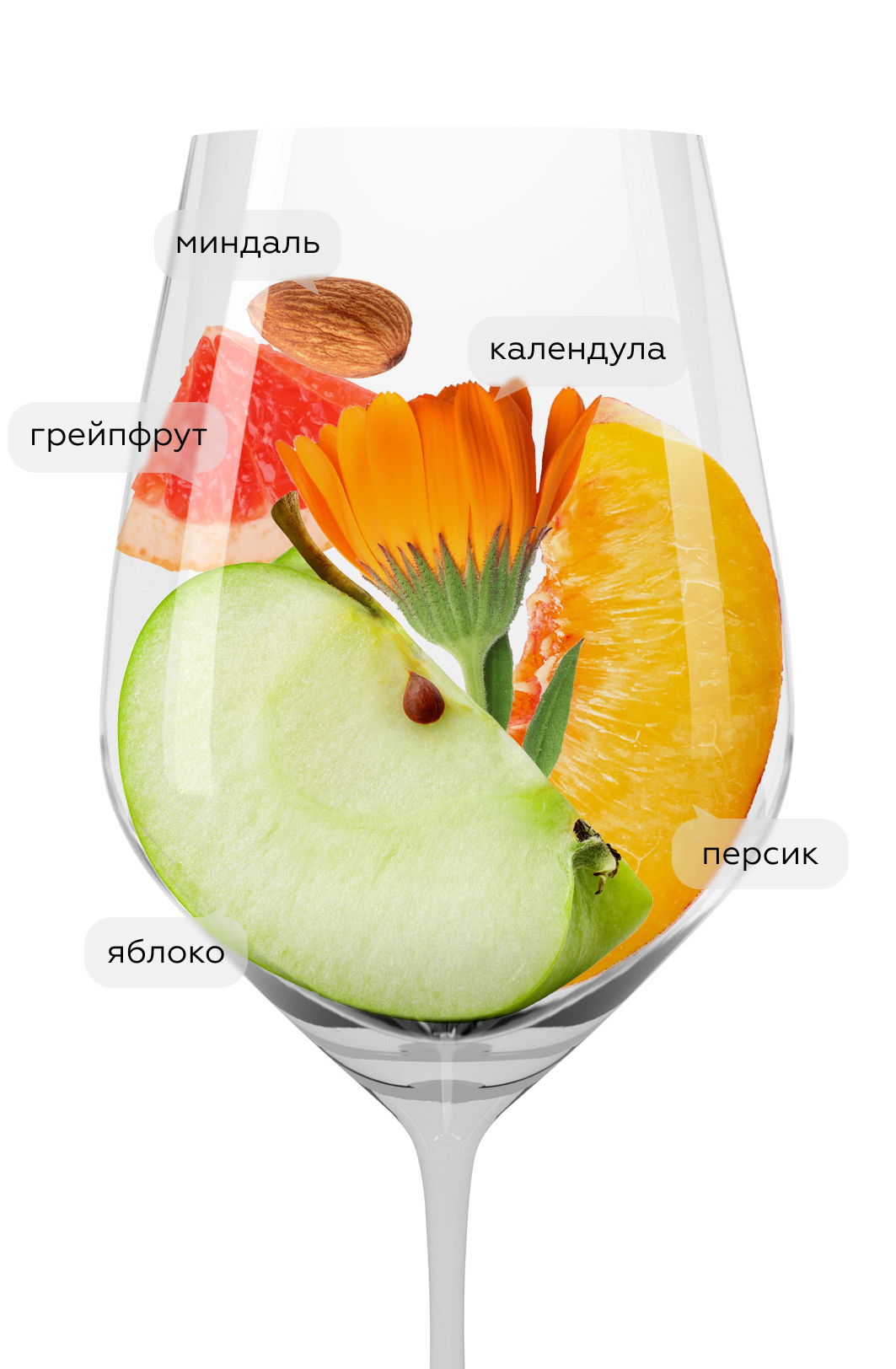 Вино Pinot Gris Reserve Personnelle, Trimbach, 2016, (133098), Франция, Эльзас, белое, полусухое, 0.75 л, Пино Гри Резерв Персонель, цена 12490 рублей