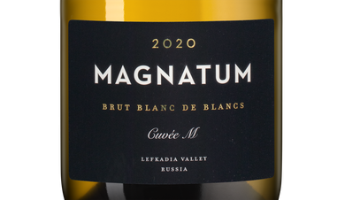 Игристое вино Магнатум Cuveе M, (144910), белое брют, 2020 г., 0.75 л, Магнатум Кюве М Блан де Блан цена 1790 рублей