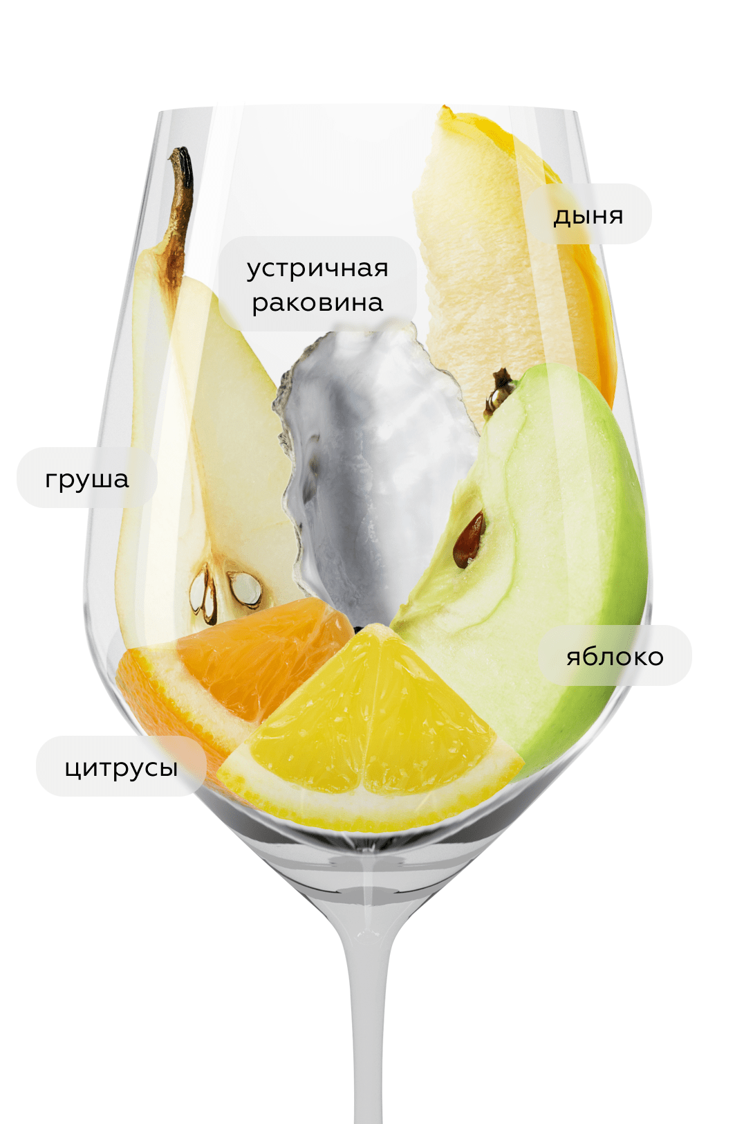 Вино Petit Chablis, William Fevre, 2019, (140065), Франция, Бургундия, белое, сухое, 0.75 л, Пти Шабли, цена 8990 рублей