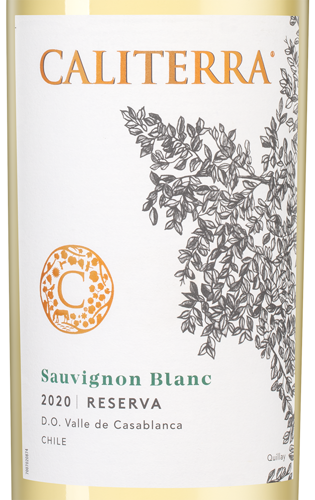 Вино Sauvignon Blanc Reserva, Caliterra, 2020, (132857), Чили, Центральная Долина, белое, сухое, 0.75 л, Совиньон Блан Ресерва, цена 2190 рублей