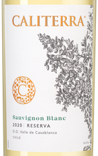 Вино Sauvignon Blanc Reserva, (132857), белое сухое, 2020 г., 0.75 л, Совиньон Блан Ресерва цена 1890 рублей