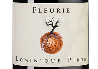 Вино Fleurie, (132934), красное сухое, 2020 г., 0.75 л, Флёри цена 4790 рублей