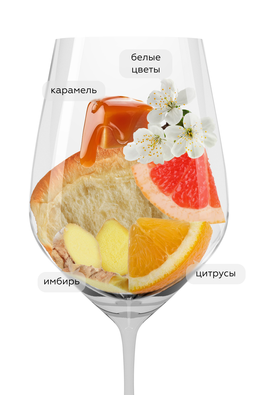 Вино Рислинг Красная Горка, Галицкий и Галицкий, 2022, (149161), Россия, Кубань, белое, сухое, 0.75 л, Рислинг Красная Горка, цена 3143 рублей