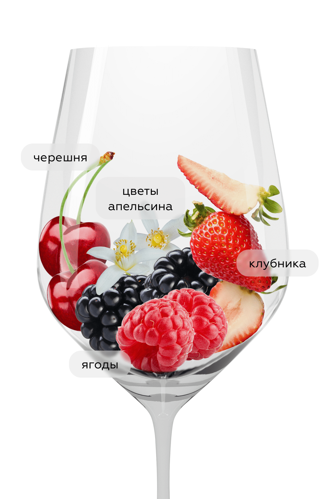 Вино Campirosa, Dino Illuminati, 2019, (122020), Италия, Абруццо, розовое, сухое, 0.75 л, Кампироза, цена 2093 рублей