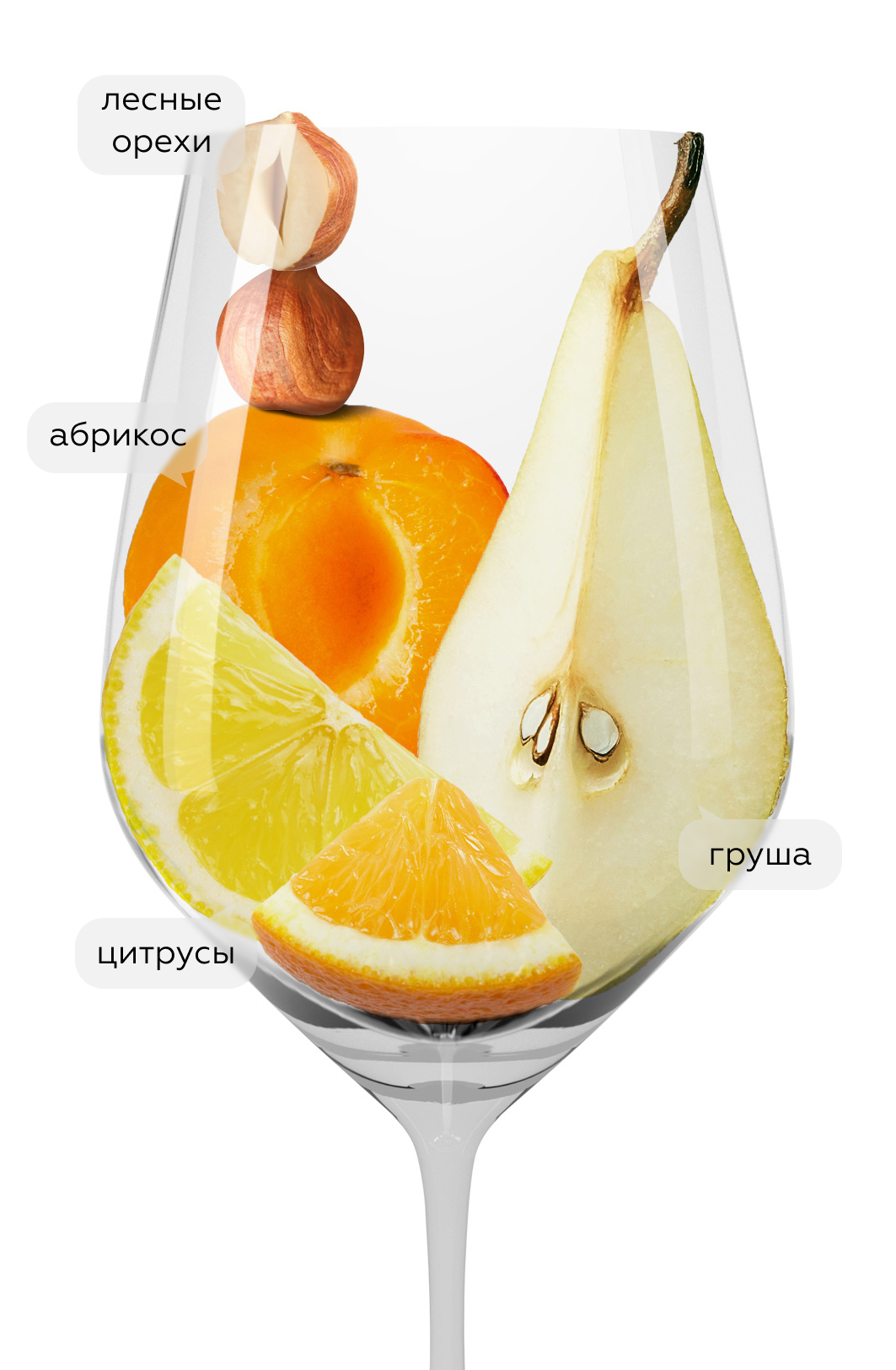 Шампанское La Reserve, Palmer & Co, 0.375л, (153668), Франция, Шампань, белое, брют, 0.375 л, Брют Резерв, цена 8490 рублей