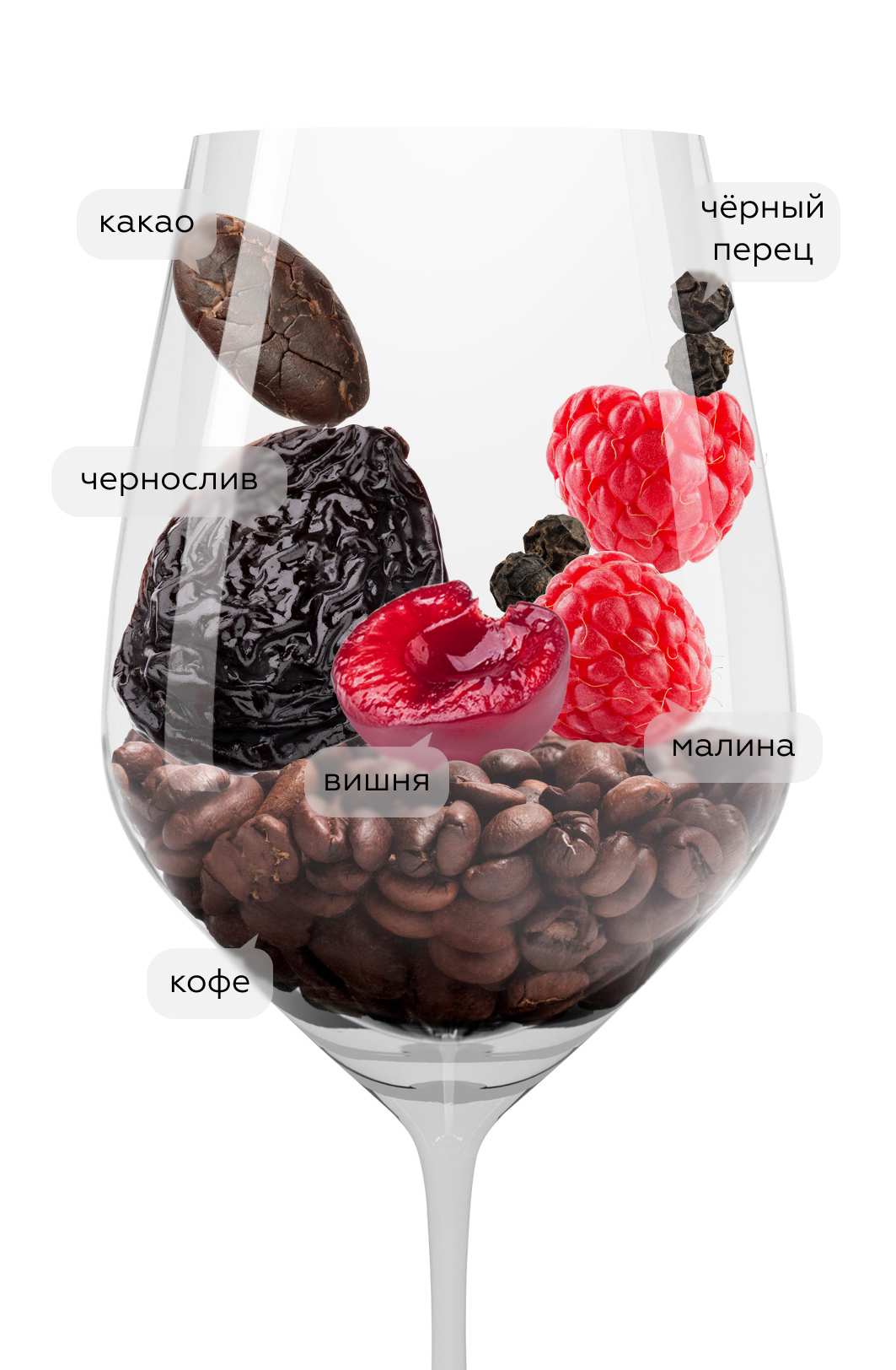 Вино Nipozzano Chianti Rufina Riserva в подарочной упаковке, Frescobaldi, 2020, (143590), Италия, Тоскана, красное, сухое, 0.75 л, Нипоццано Кьянти Руфина Ризерва, цена 5890 рублей