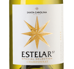 Вино Estelar Chardonnay, (136457), белое сухое, 2021 г., 0.75 л, Эстреллас Шардоне цена 990 рублей