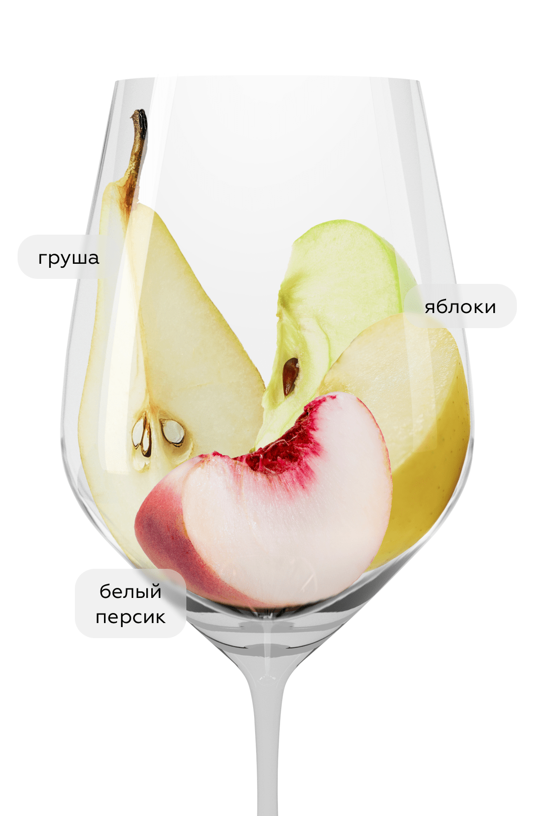 Вино Pinot Blanc Tradition, Cave de Turckheim, 2023, (158991), Франция, Эльзас, белое, сухое, 0.75 л, Пино Блан Традисьон, цена 3290 рублей