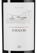 Вино терольдего Foradori