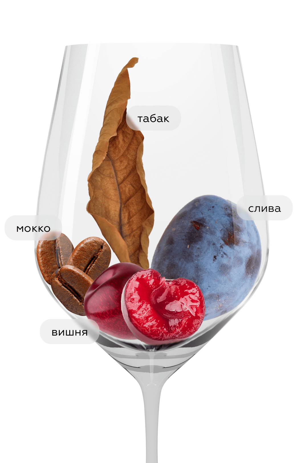 Вино Togliano Merlot Volpe Pasini, 2021, (146383), Италия, Фриули-Венеция-Джулия, красное, сухое, 0.75 л, Тольяно Мерло Вольпе Пазини, цена 5990 рублей