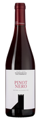 Pinot Nero (Blauburgunder)