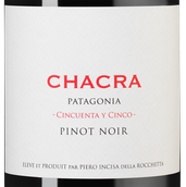 Вино из Патагонии Cincuenta y Cinco