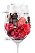 Красное сухое вино Сира Riscal 1860