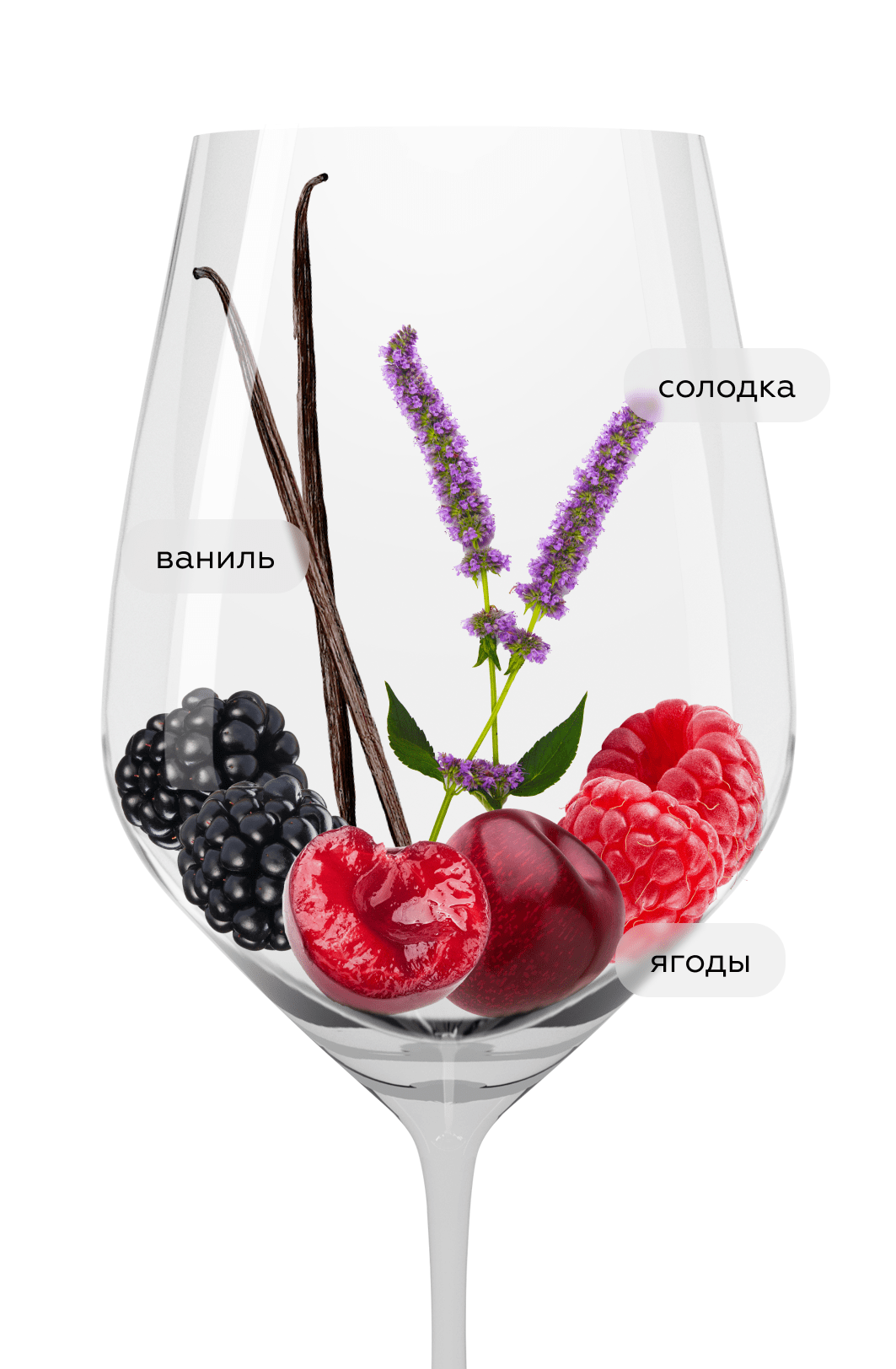 Вино Siglo, Bodegas Manzanos, 2022, (147198), Испания, Риоха, красное, сухое, 0.75 л, Риоха Сигло, цена 1493 рублей