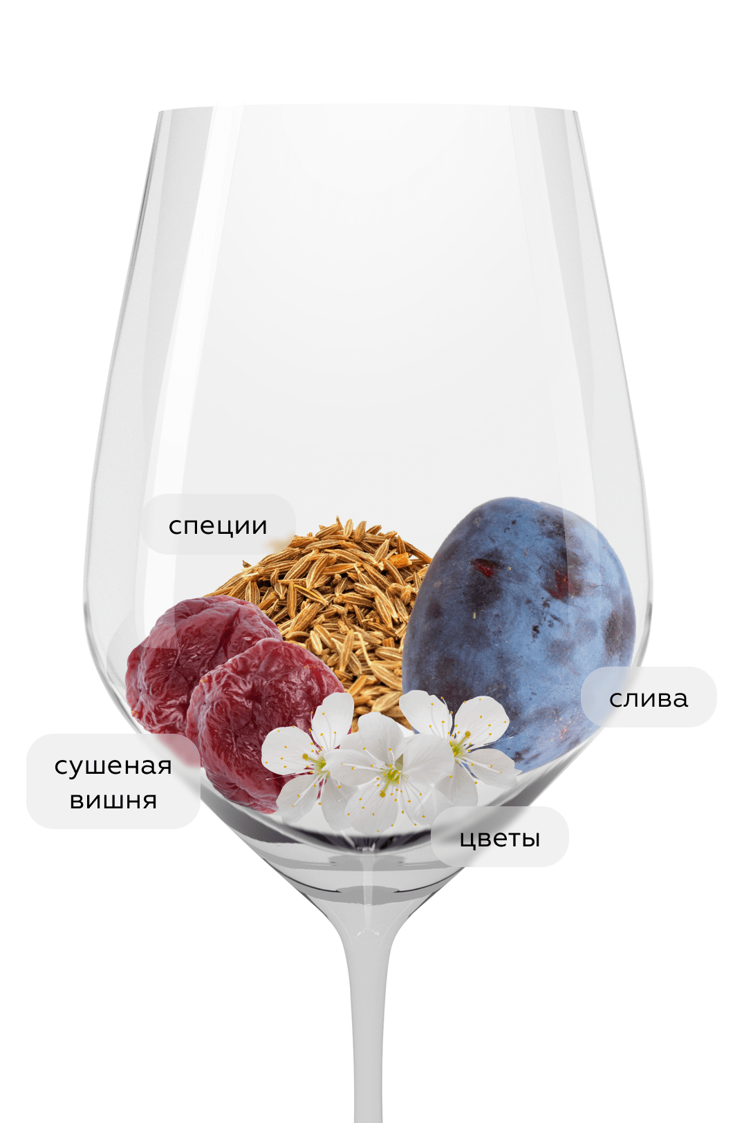 Вино Blaufrankisch Kalk und Schiefer, Anita & Hans Nittnaus, 2022, (148356), Австрия, Бургенланд, красное, сухое, 0.75 л, Блауфренкиш Кальк унд Шифер, цена 5790 рублей