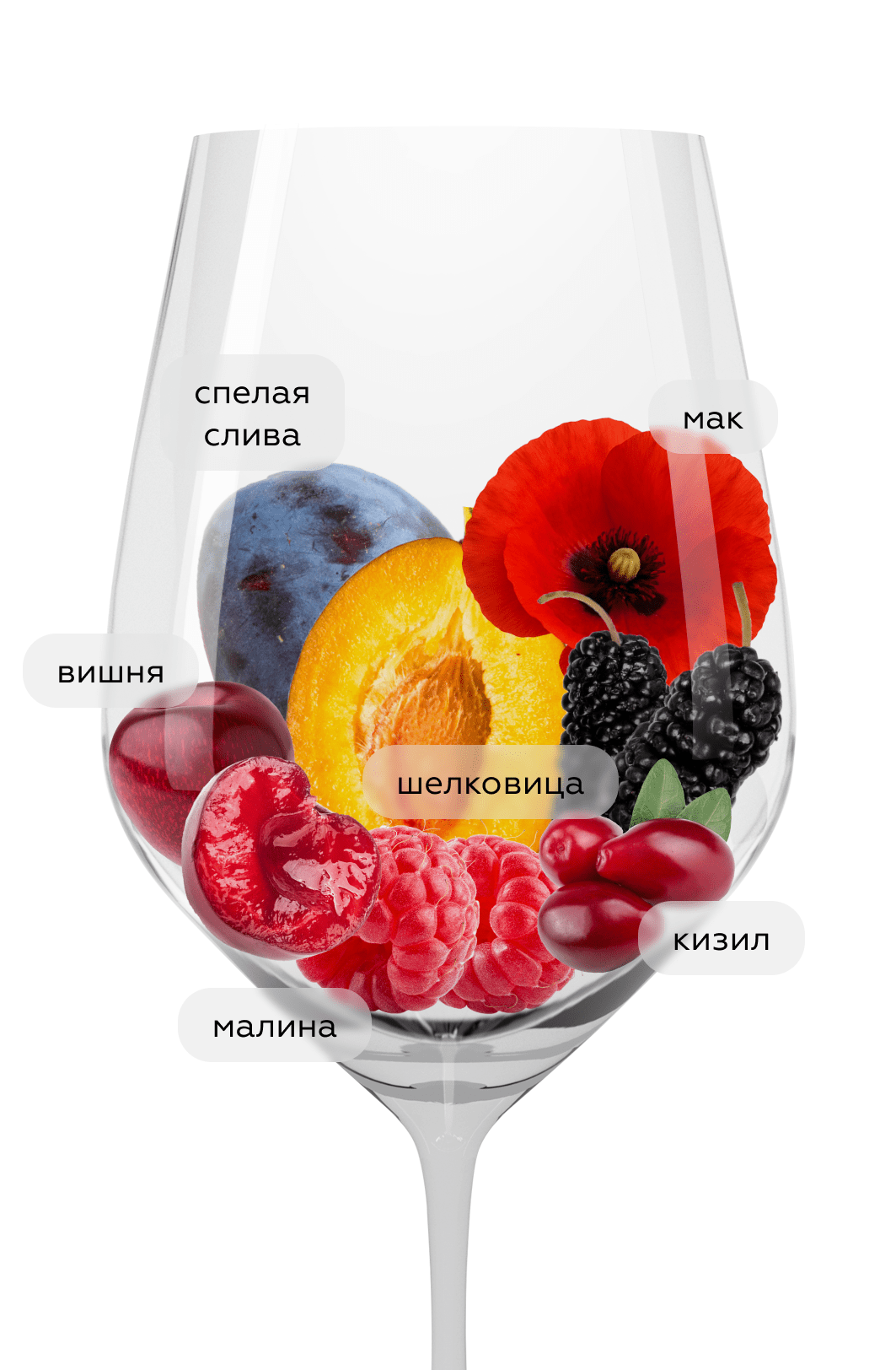 Вино Усадьба Мезыбь. Красностоп / Саперави, 2023, (156410), Россия, Кубань, красное, сухое, 0.75 л, Усадьба Мезыбь Красностоп/Саперави, цена 2390 рублей