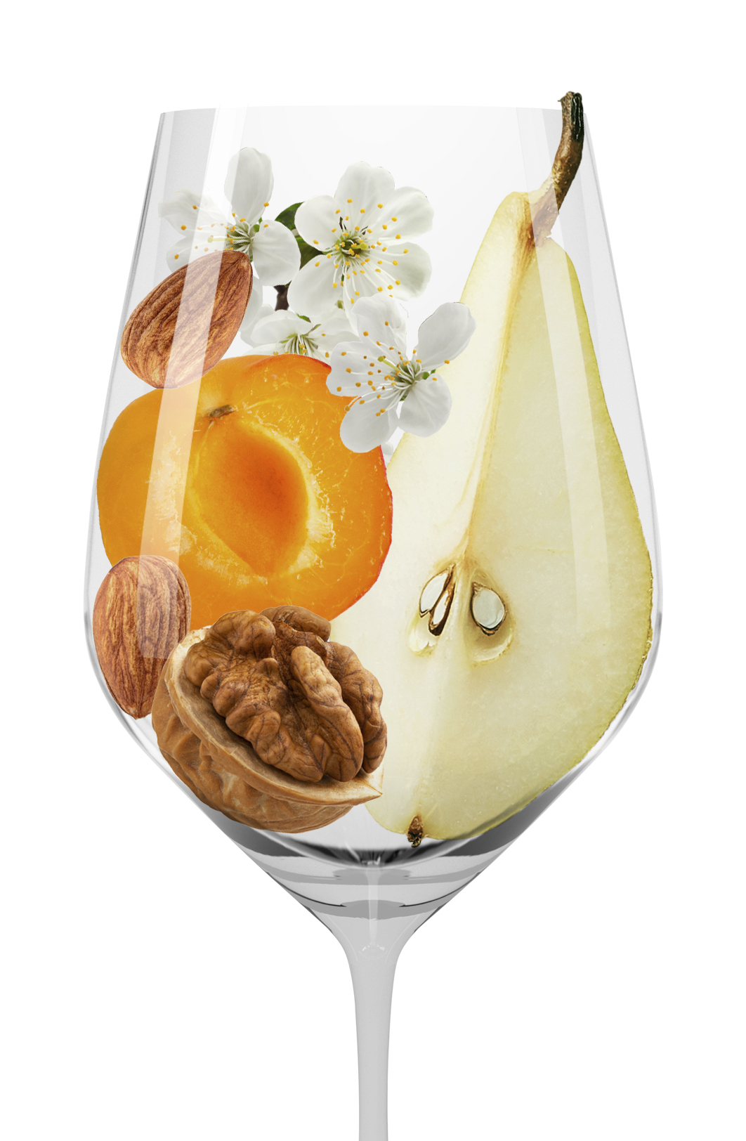 Вино Roero Arneis, Tibaldi, 2024, (154587), Италия, Пьемонт, белое, сухое, 0.75 л, Роэро Арнеис, цена 3368 рублей