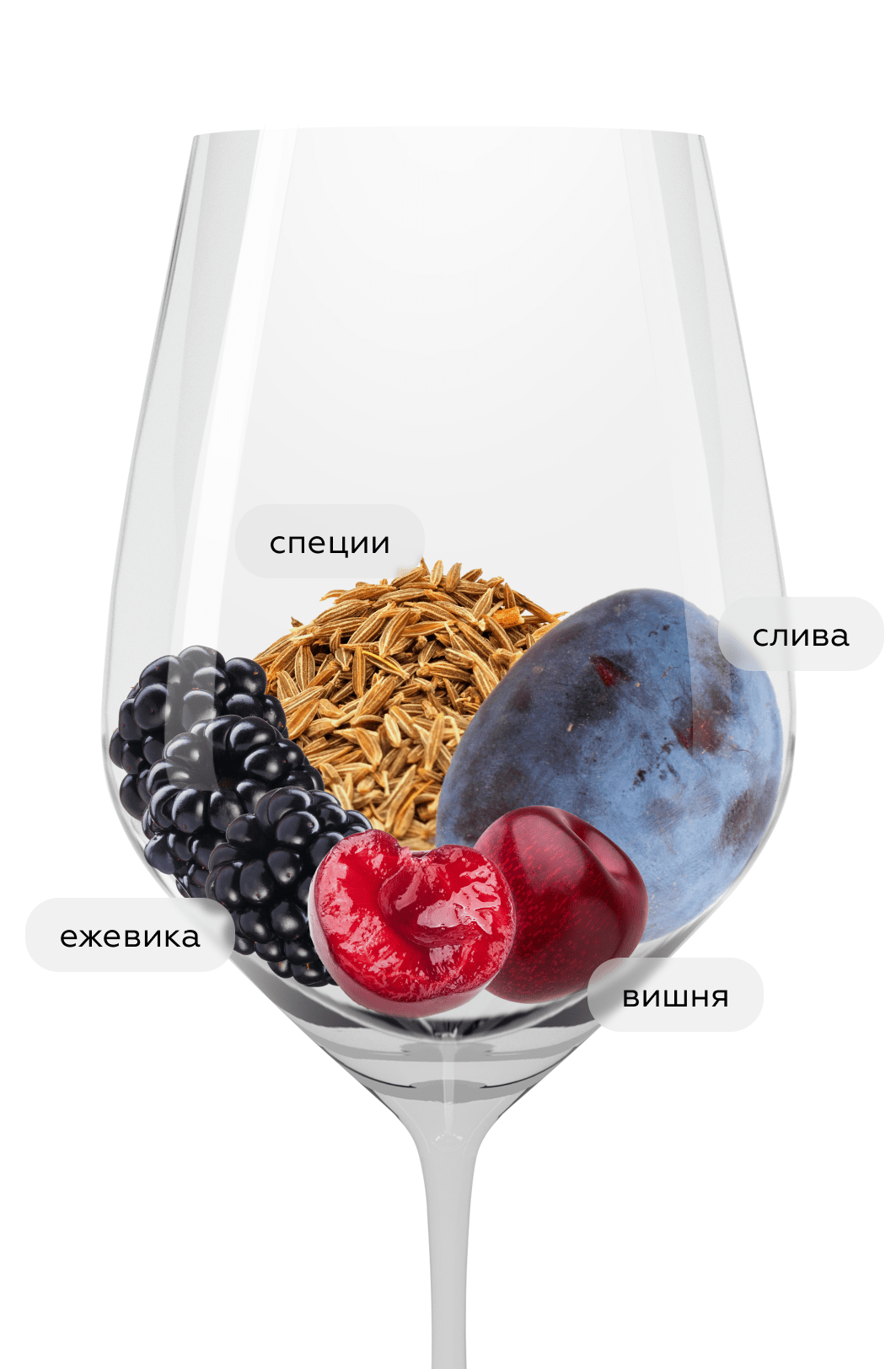 Вино Trapiche Oak Cask Malbec, 2023, (147503), Аргентина, Мендоса, красное, сухое, 0.75 л, Оук Каск Мальбек, цена 1890 рублей