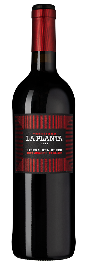Вино La Planta, Bodegas Arzuaga, 2023, (151627), Испания, Кастилия и Леон, красное, сухое, 0.75 л, Рибера дель Дуэро Ла Планта, цена 3290 рублей