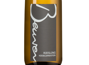 Вино Riesling Kieselsandstein, (146588), белое сухое, 2021 г., 0.75 л, Рислинг Кизельзандштайн цена 5490 рублей