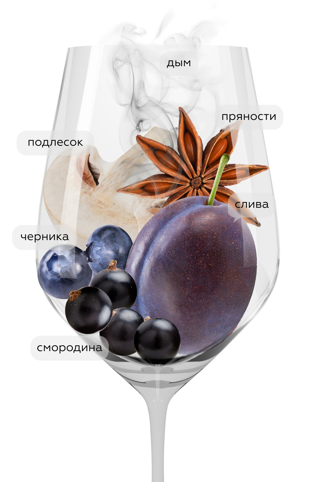 Вино Triennes Les Aureliens Rouge, 2017, (132874), Франция, Прованс, красное, сухое, 0.75 л, Лез Орелиан Руж, цена 5190 рублей