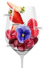 Вино Fontegaia Chianti, (133278), красное сухое, 2020 г., 0.75 л, Фонтегайа Кьянти цена 1490 рублей