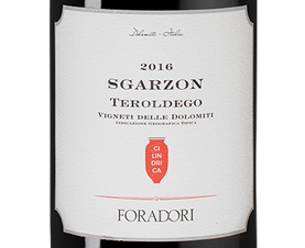 Вино Sgarzon Cilindrica, (115242), красное сухое, 2016 г., 0.75 л, Сгарцон Чилиндрика цена 9650 рублей