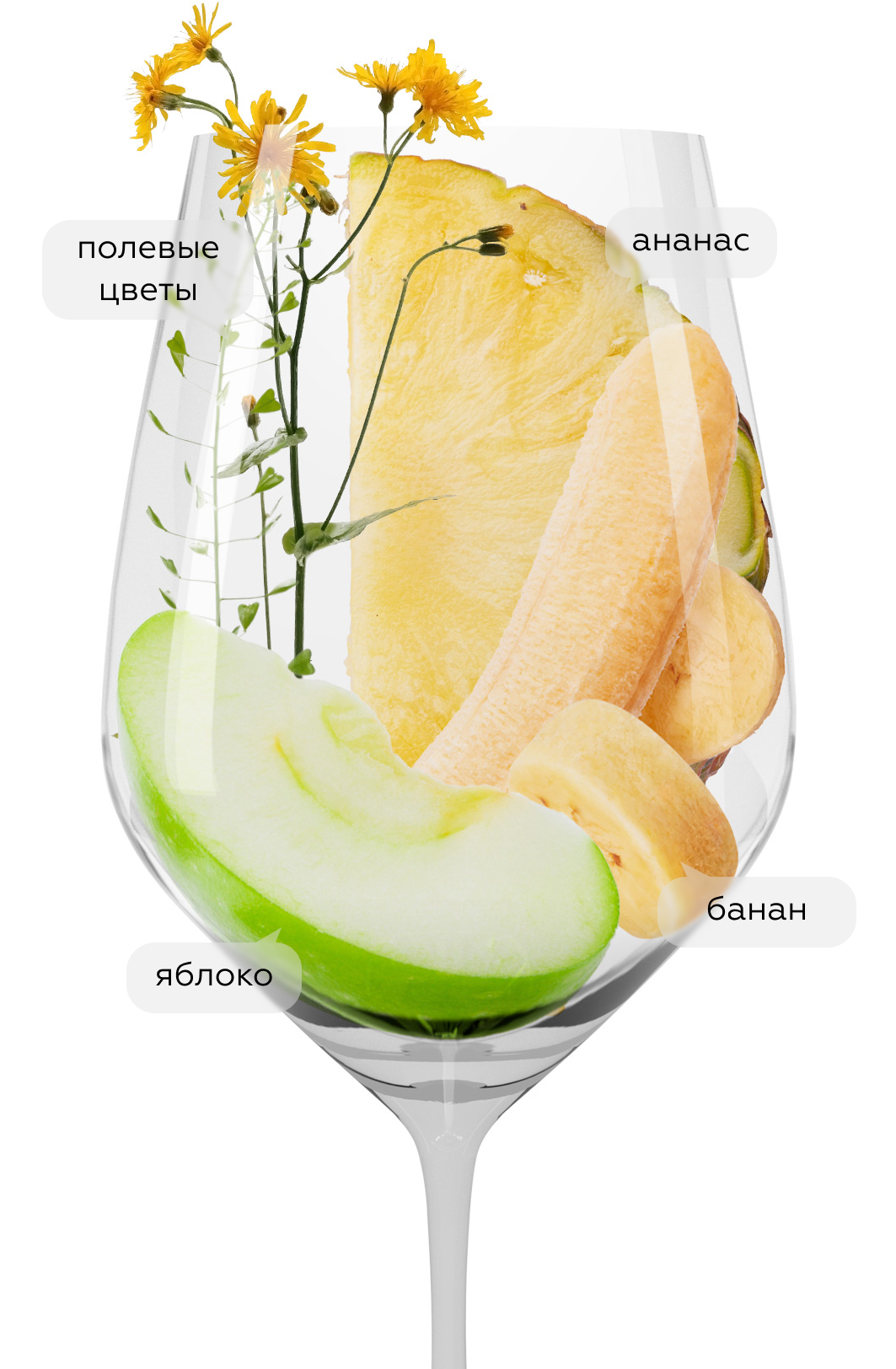 Вино Priara Pinot Grigio, Pradio, 2022, (142618), Италия, Фриули-Венеция-Джулия, белое, сухое, 0.75 л, Приара Пино Гриджо, цена 2890 рублей