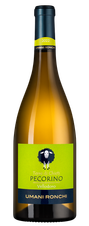 Вино Vellodoro Pecorino, (142368), белое сухое, 2022 г., 0.75 л, Веллодоро Пекорино цена 2490 рублей