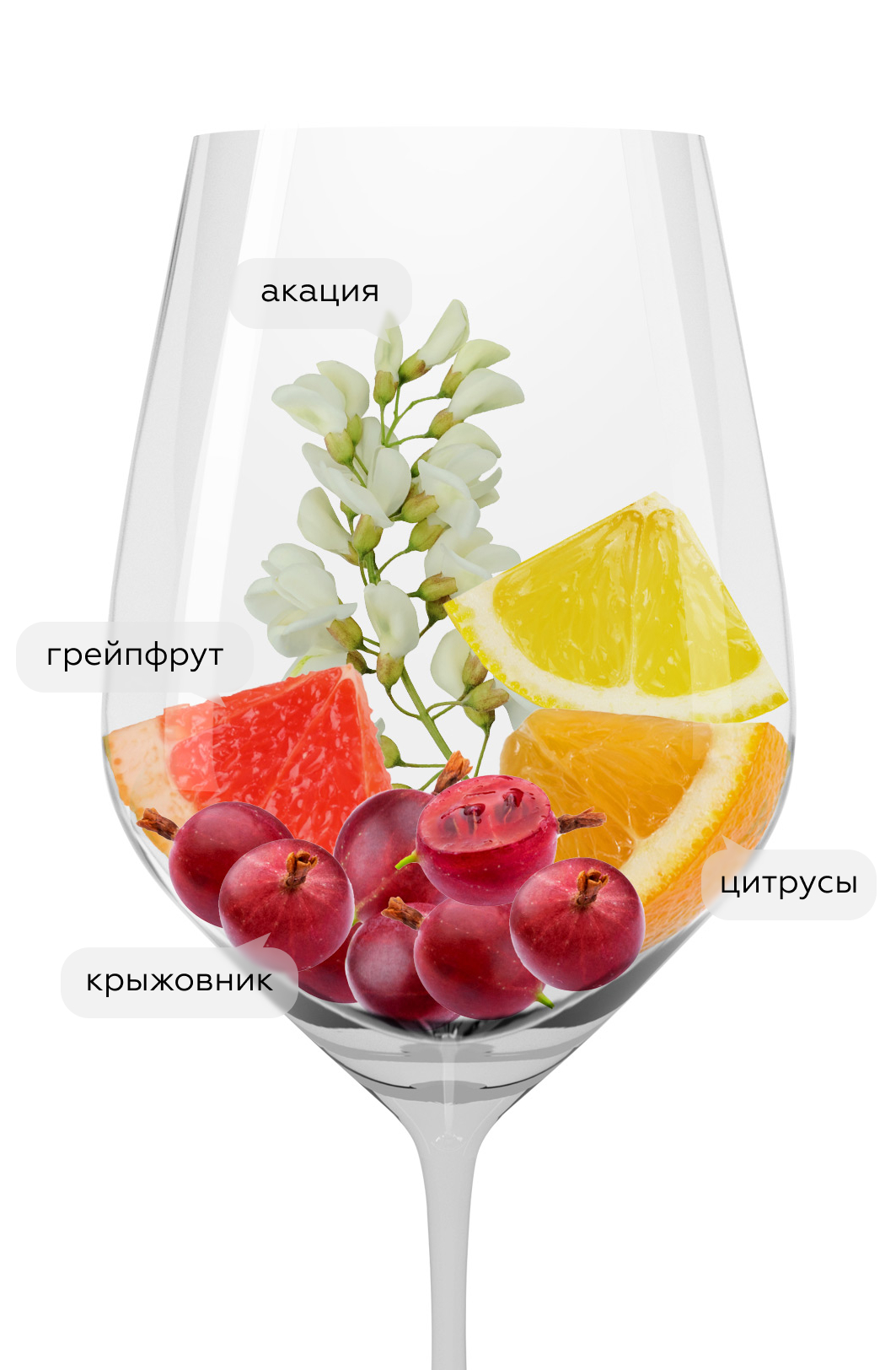 Вино Pure Sauvignon Blanc, Trapiche, 2024, (155227), Аргентина, Мендоса, белое, сухое, 0.75 л, Пью Совиньон Блан, цена 2190 рублей