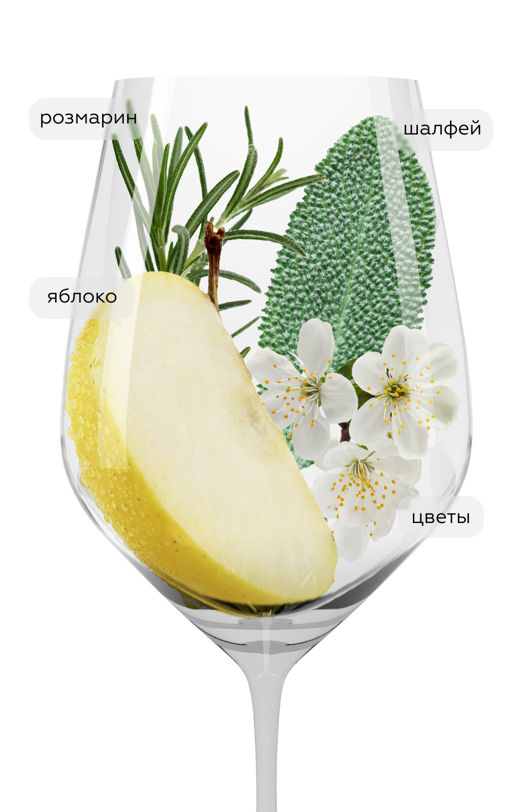 Вино Massovivo Vermentino, Frescobaldi, 2023, (147873), Италия, Тоскана, белое, сухое, 0.75 л, Массовиво Верментино, цена 3990 рублей