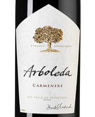 Вино с сочным вкусом Carmenere