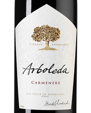 Вино Carmenere, (146454), красное сухое, 2022 г., 0.75 л, Карменер цена 3490 рублей