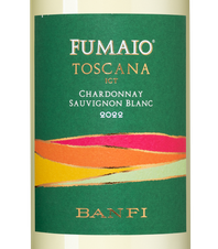 Вино Fumaio, (145472), белое сухое, 2022 г., 0.75 л, Фумайо цена 2290 рублей