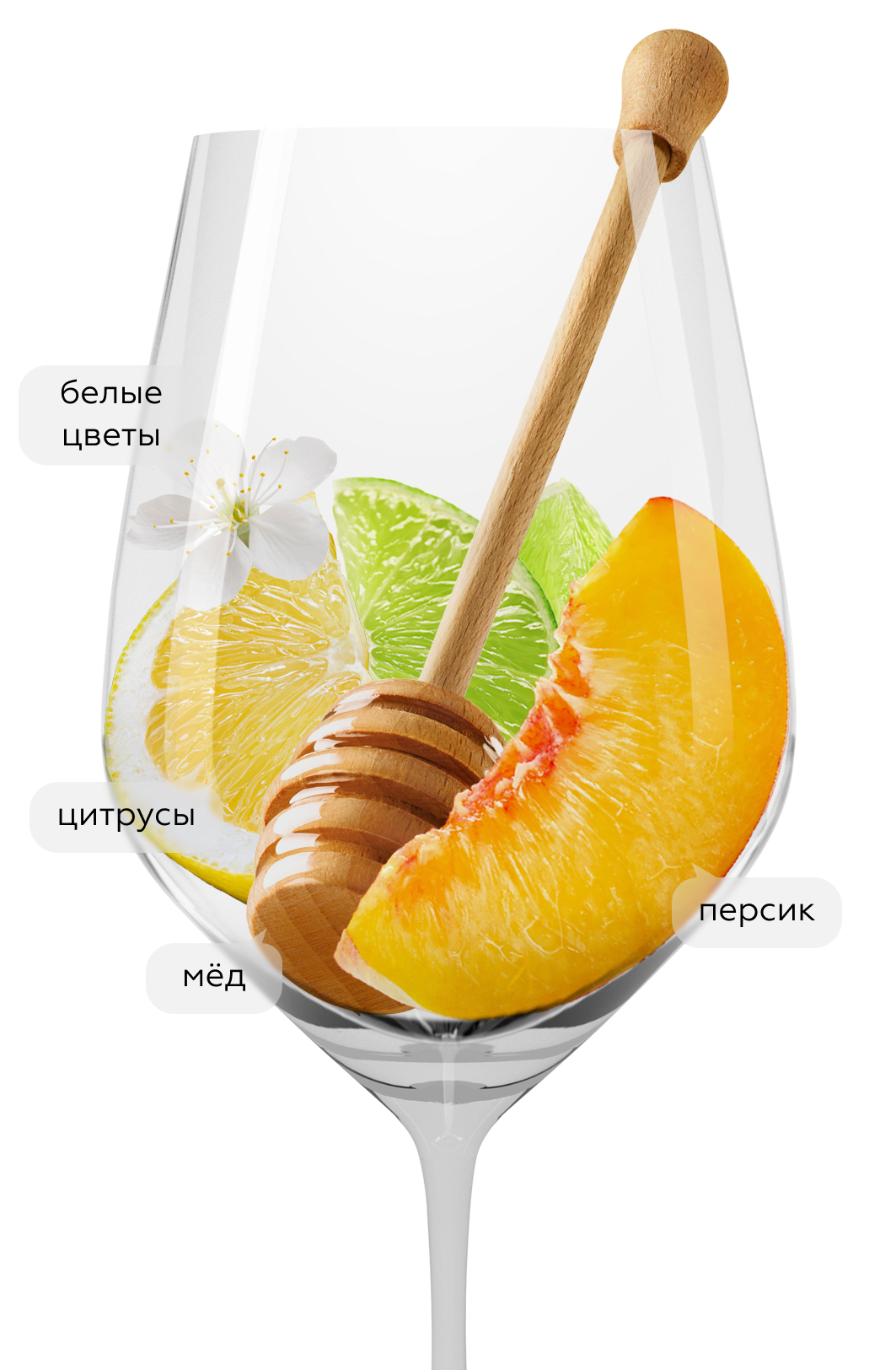 Вино Gavi, Ottosoldi, 2021, (137669), Италия, Пьемонт, белое, сухое, 0.75 л, Гави, цена 4990 рублей