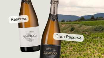 Статья-1200_2 (1).png