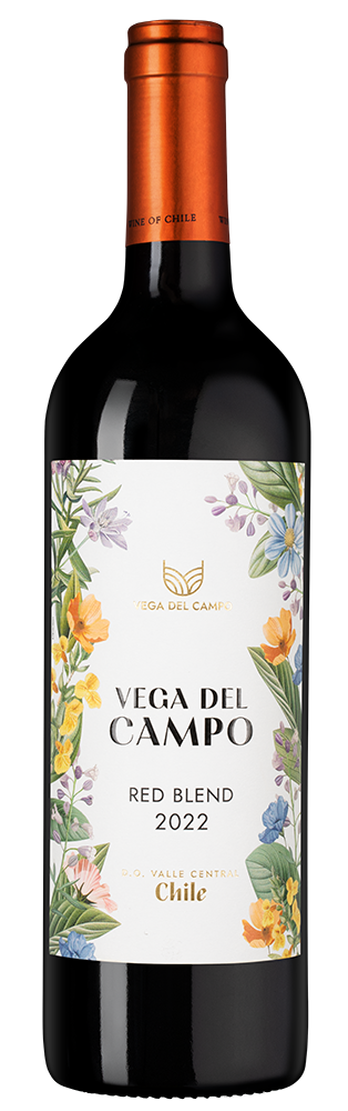 Вино Vega del Campo Red Blend, Montgras, 2022, (152096), Чили, Центральная Долина, красное, сухое, 0.75 л, Вино Вега дель Кампо Ред Бленд, цена 1190 рублей