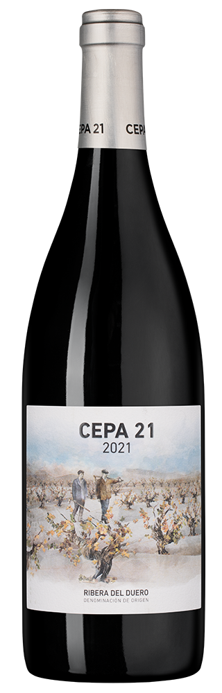 Вино Cepa 21, Bodegas Cepa 21, 2021, (146775), Испания, Кастилия и Леон, красное, сухое, 0.75 л, Рибера дель Дуэро Сепа 21, цена 6690 рублей